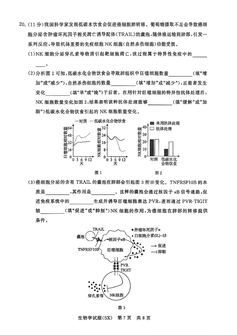 T8联考2026届高三年级12月检测训练生物(山西)_2024-2026高三（6-6月题库）_2025年12月高三试卷_2512252026届高三第一次学业质量评价联考（T8八省联考）（全科）_选科[山西专版]（全）