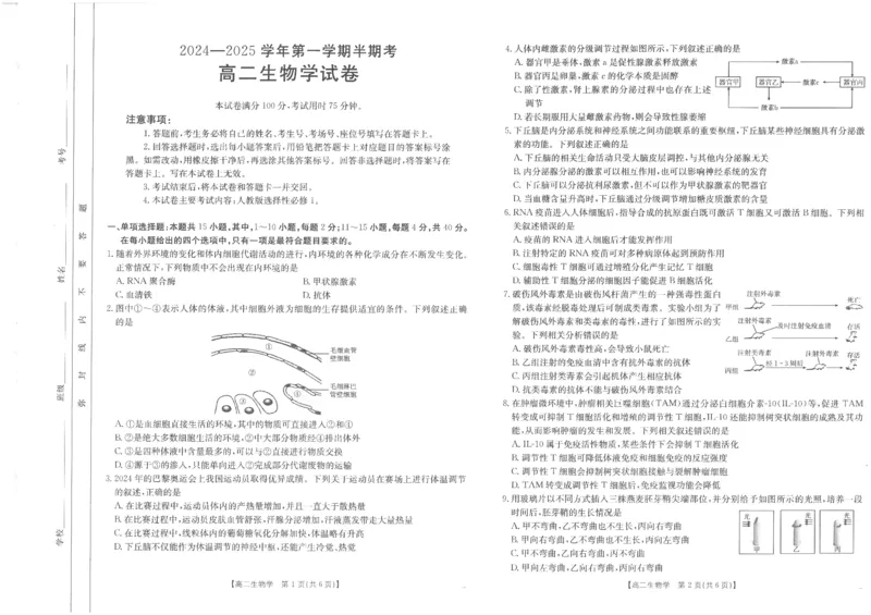 高二生物试卷_2024-2025高二（7-7月题库）_2024年11月试卷_1125金太阳福建省非一级达标校高二11月第一学期半期考