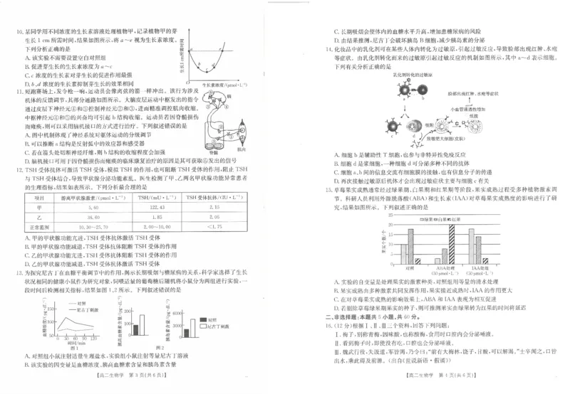 高二生物试卷_2024-2025高二（7-7月题库）_2024年11月试卷_1125金太阳福建省非一级达标校高二11月第一学期半期考