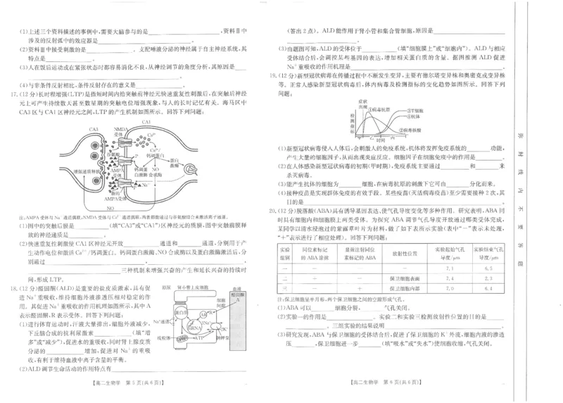 高二生物试卷_2024-2025高二（7-7月题库）_2024年11月试卷_1125金太阳福建省非一级达标校高二11月第一学期半期考