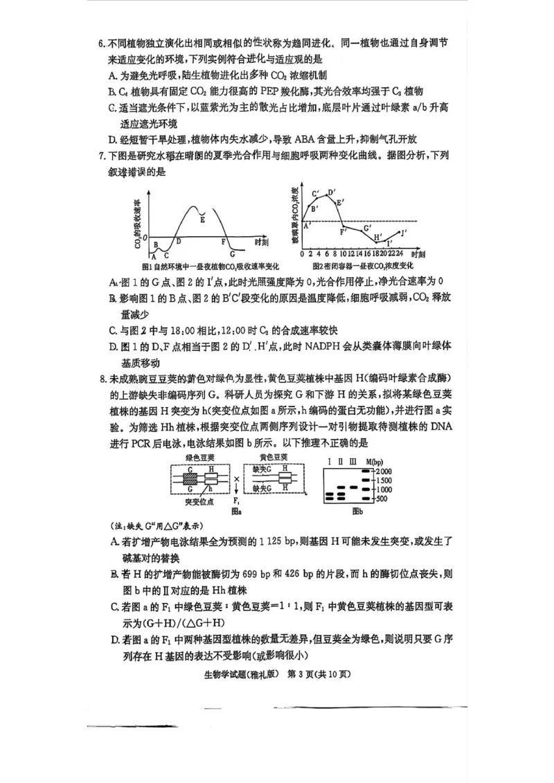 生物试卷-湖南省炎德英才长沙市雅礼中学2026届高三月考试卷(一)(8.15-8.16)_2024-2026高三（6-6月题库）_2025年08月试卷_250819湖南省长沙市雅礼中学2025-2026学年高三上学期月考（一）