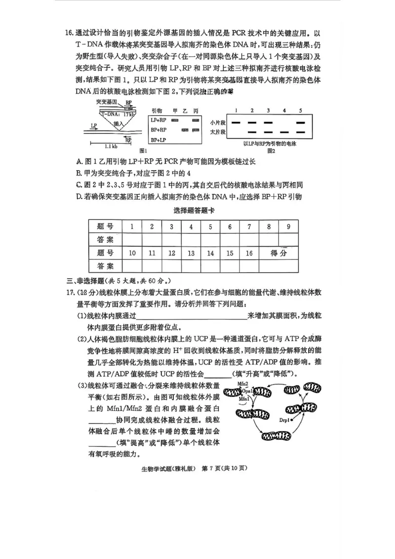 生物试卷-湖南省炎德英才长沙市雅礼中学2026届高三月考试卷(一)(8.15-8.16)_2024-2026高三（6-6月题库）_2025年08月试卷_250819湖南省长沙市雅礼中学2025-2026学年高三上学期月考（一）