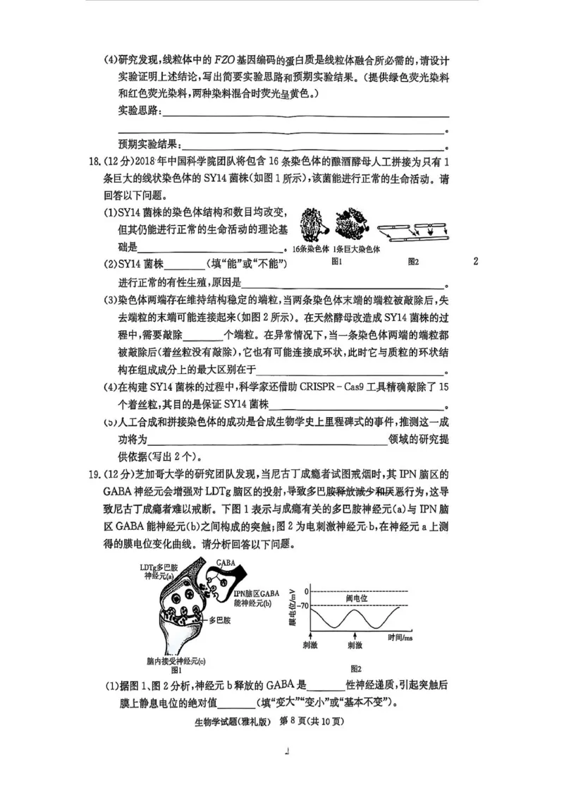 生物试卷-湖南省炎德英才长沙市雅礼中学2026届高三月考试卷(一)(8.15-8.16)_2024-2026高三（6-6月题库）_2025年08月试卷_250819湖南省长沙市雅礼中学2025-2026学年高三上学期月考（一）