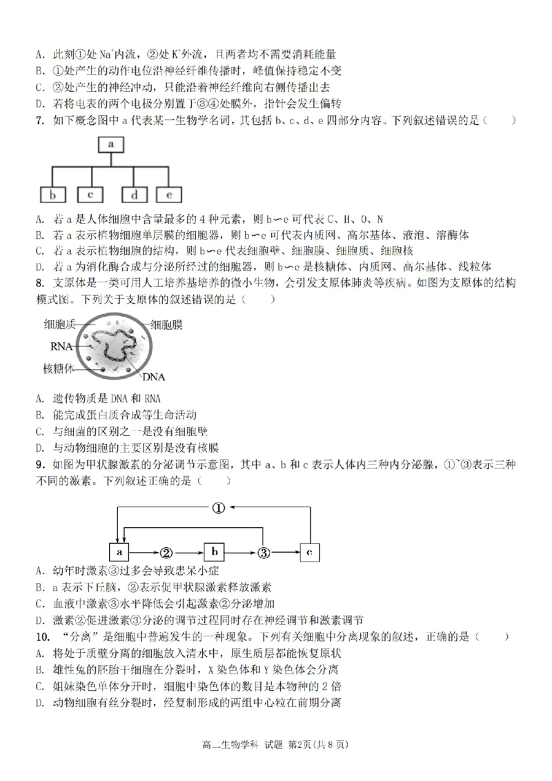 生物卷-宁波五校高二期中_2024-2025高二（7-7月题库）_2024年11月试卷_1115浙江省宁波五校联盟2024-2025学年高二期中考试