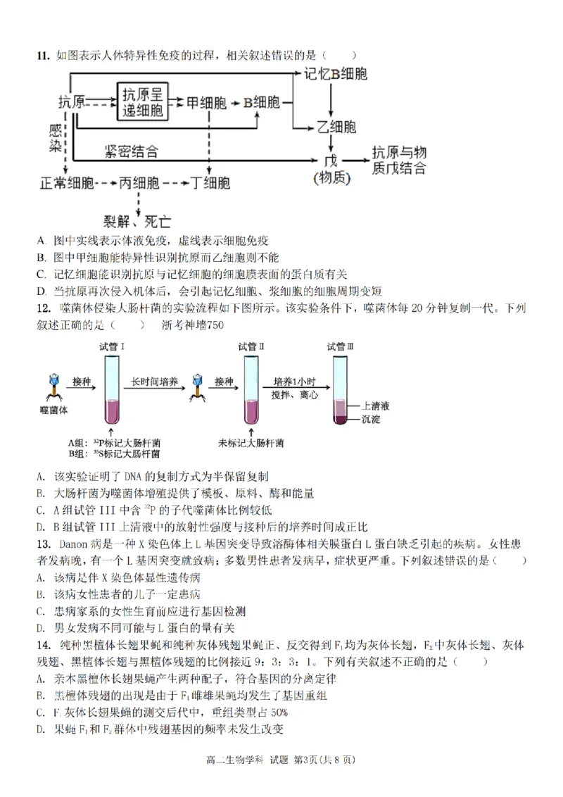 生物卷-宁波五校高二期中_2024-2025高二（7-7月题库）_2024年11月试卷_1115浙江省宁波五校联盟2024-2025学年高二期中考试