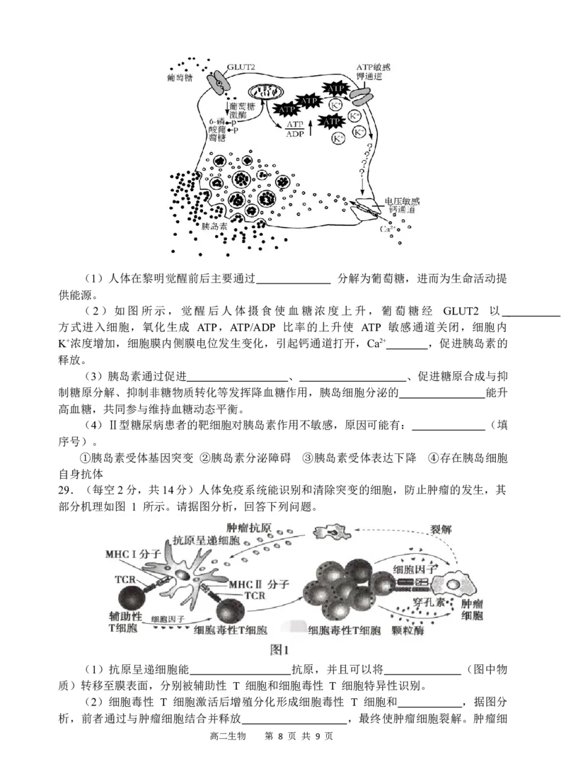 生物试题_251205四川省遂宁市射洪中学2025-2026学年高二上学期期中考试（全）_四川省遂宁市射洪中学2025-2026学年高二上学期期中考试生物Word版含答案