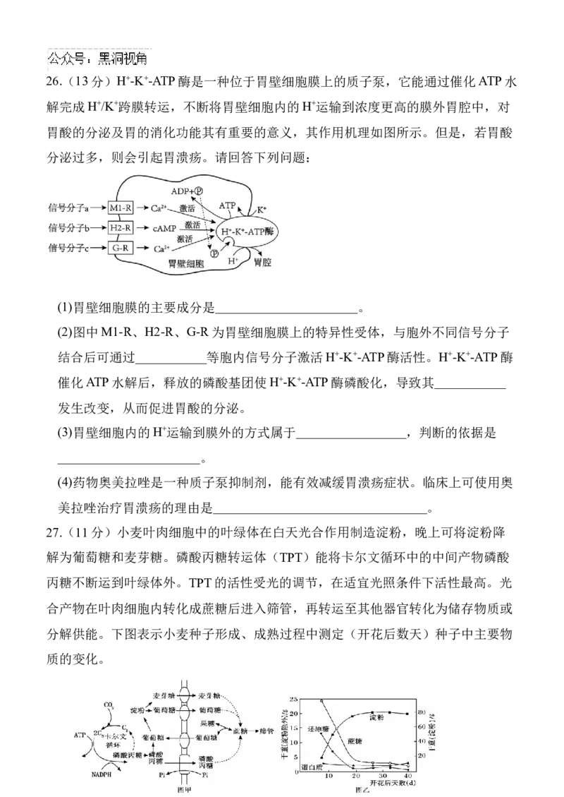 陕西省西安中学高2025届高三第二次质量检测生物_2024-2025高三（6-6月题库）_2024年11月试卷_1114陕西省西安中学2024-2025学年高三上学期第二次调研考试