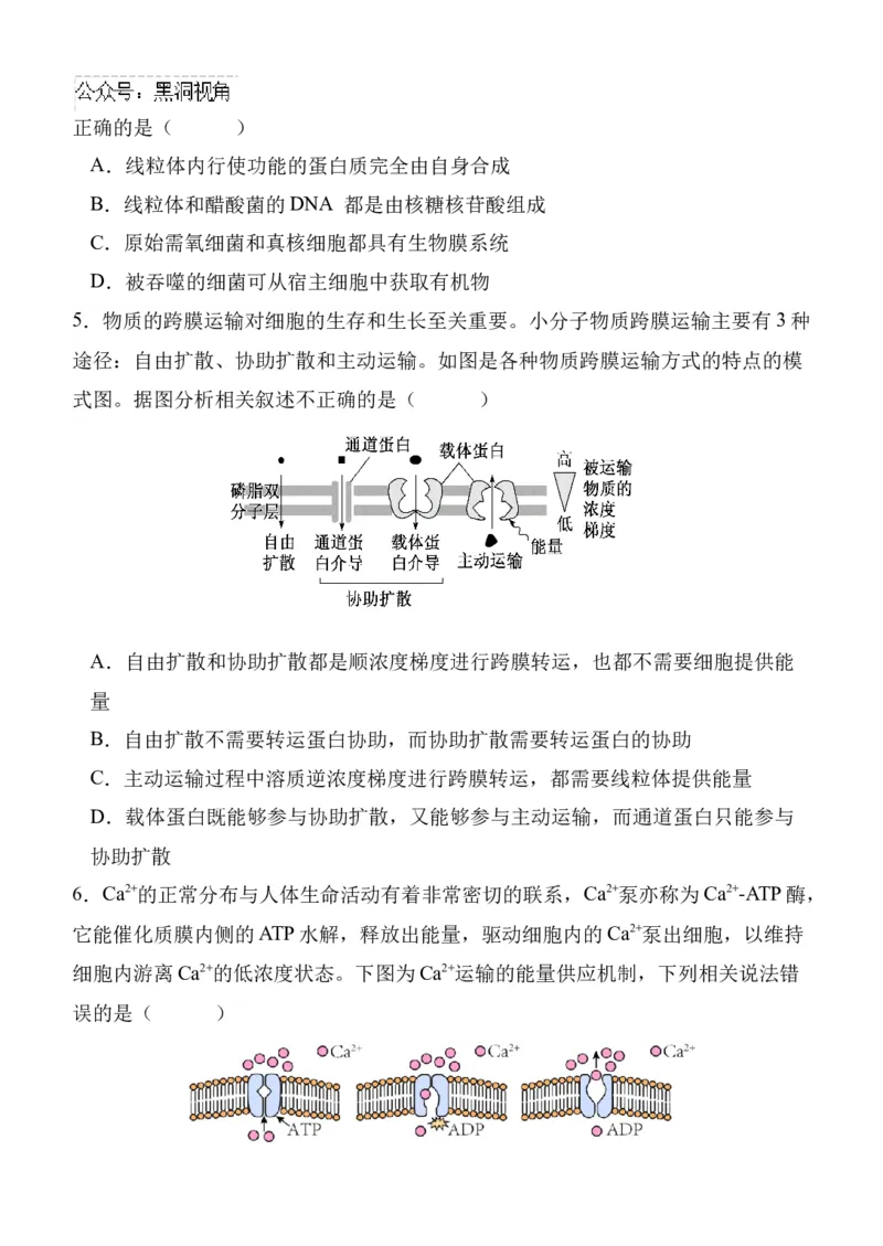 陕西省西安中学高2025届高三第二次质量检测生物_2024-2025高三（6-6月题库）_2024年11月试卷_1114陕西省西安中学2024-2025学年高三上学期第二次调研考试