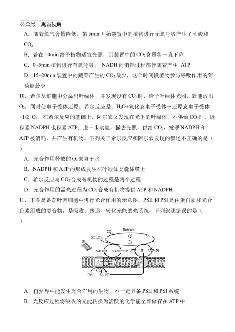 陕西省西安中学高2025届高三第二次质量检测生物_2024-2025高三（6-6月题库）_2024年11月试卷_1114陕西省西安中学2024-2025学年高三上学期第二次调研考试