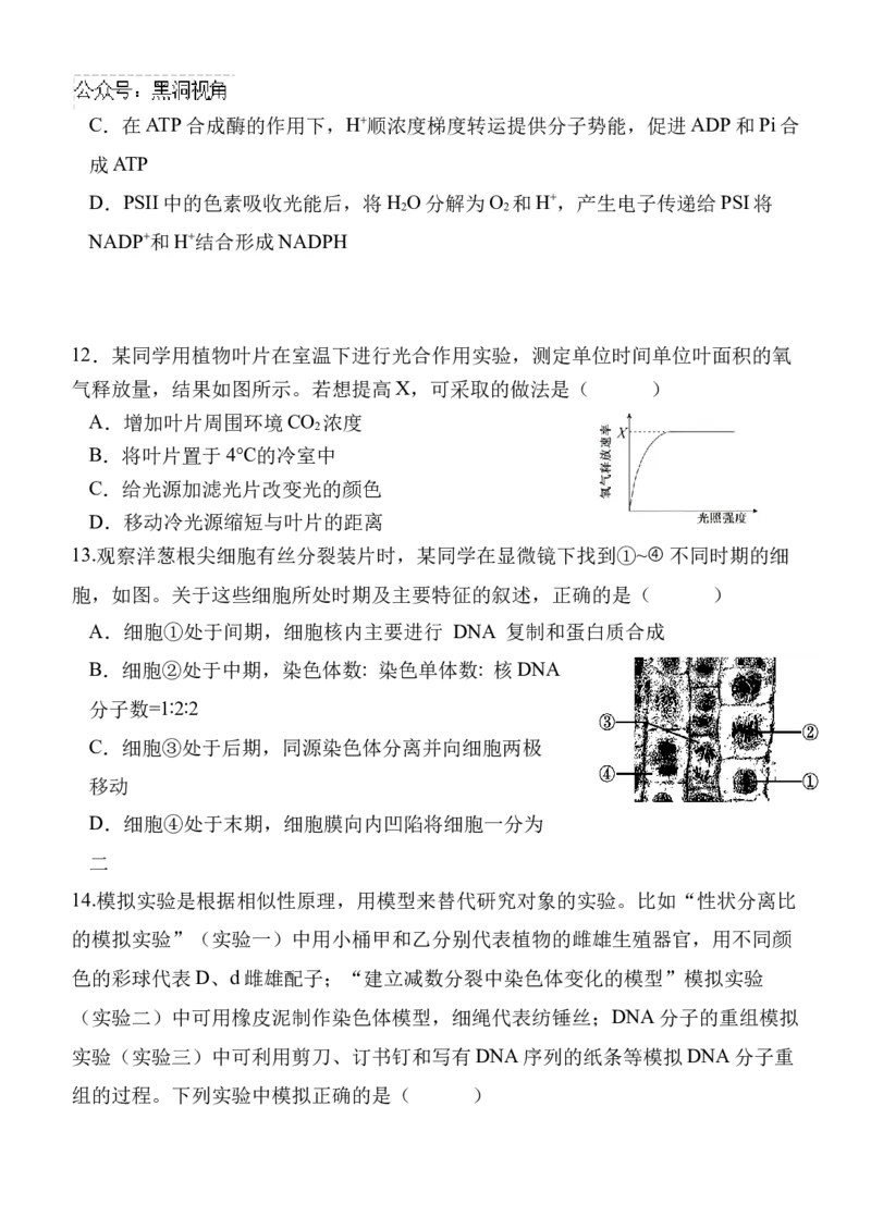 陕西省西安中学高2025届高三第二次质量检测生物_2024-2025高三（6-6月题库）_2024年11月试卷_1114陕西省西安中学2024-2025学年高三上学期第二次调研考试