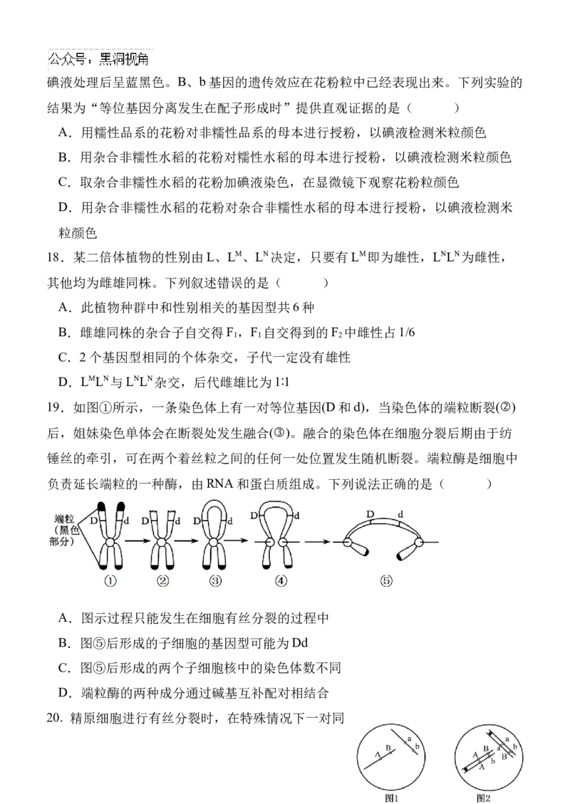 陕西省西安中学高2025届高三第二次质量检测生物_2024-2025高三（6-6月题库）_2024年11月试卷_1114陕西省西安中学2024-2025学年高三上学期第二次调研考试