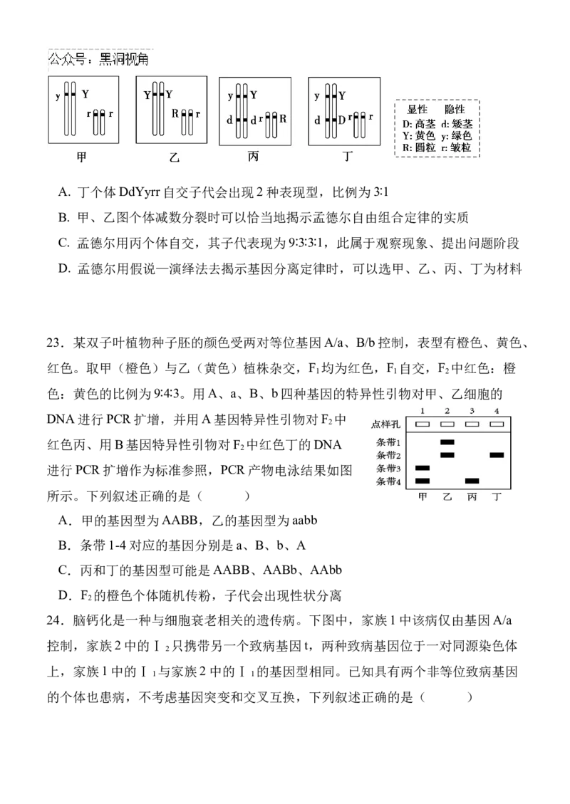 陕西省西安中学高2025届高三第二次质量检测生物_2024-2025高三（6-6月题库）_2024年11月试卷_1114陕西省西安中学2024-2025学年高三上学期第二次调研考试