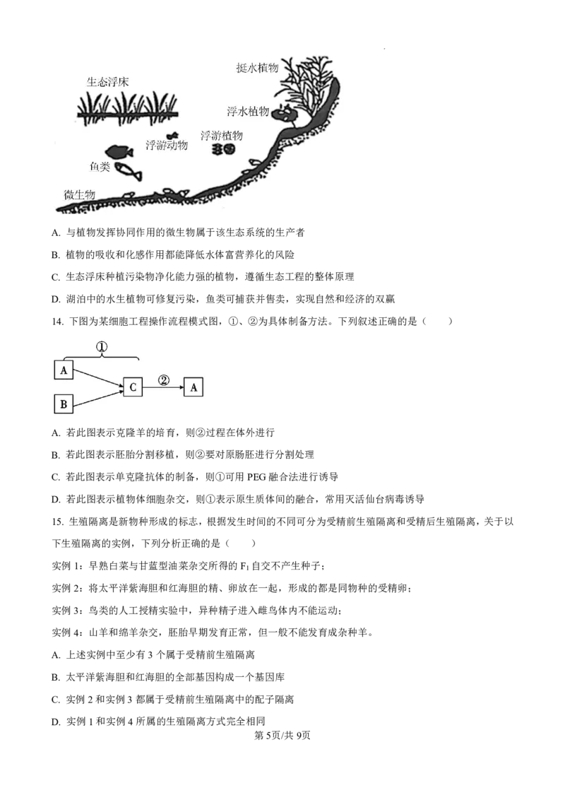 精品解析：海南省海口市2024-2025学年高三上学期10月摸底考试生物试题（原卷版）_2024-2025高三（6-6月题库）_2024年11月试卷_1104海南省海口市2024-2025学年高三上学期10月摸底考试