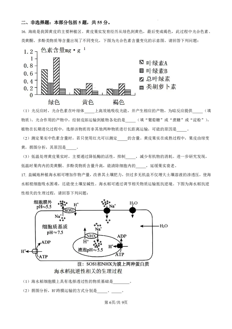 精品解析：海南省海口市2024-2025学年高三上学期10月摸底考试生物试题（原卷版）_2024-2025高三（6-6月题库）_2024年11月试卷_1104海南省海口市2024-2025学年高三上学期10月摸底考试