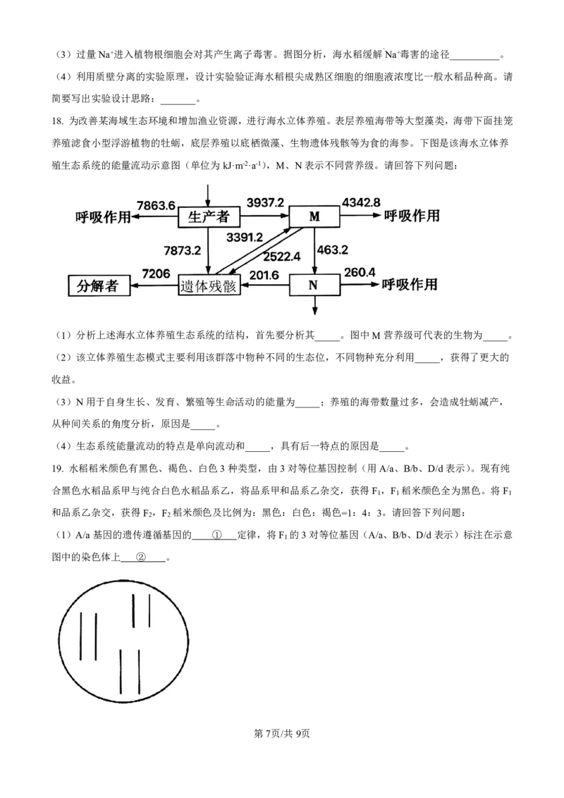 精品解析：海南省海口市2024-2025学年高三上学期10月摸底考试生物试题（原卷版）_2024-2025高三（6-6月题库）_2024年11月试卷_1104海南省海口市2024-2025学年高三上学期10月摸底考试