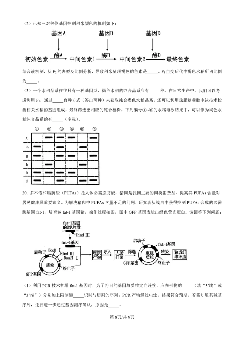精品解析：海南省海口市2024-2025学年高三上学期10月摸底考试生物试题（原卷版）_2024-2025高三（6-6月题库）_2024年11月试卷_1104海南省海口市2024-2025学年高三上学期10月摸底考试