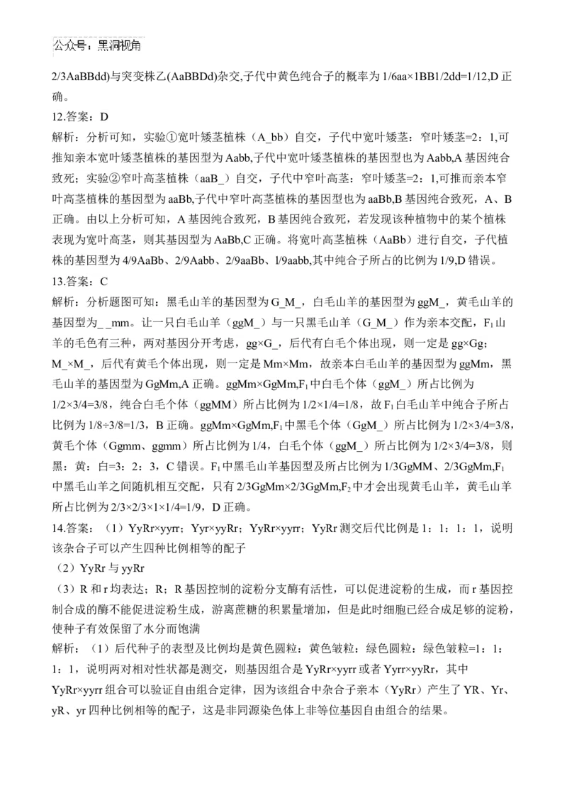 （11）基因的自由组合定律&mdash;&mdash;2025届高考生物二轮复习易错重难提升（含解析）_2024-2025高三（6-6月题库）_2025年02月试卷_02162025届高考生物二轮复习易错重难提升（含解析）