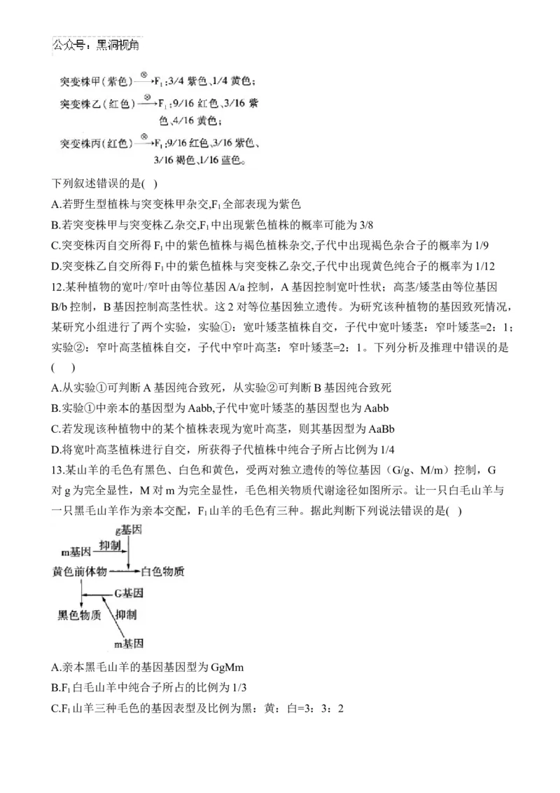 （11）基因的自由组合定律&mdash;&mdash;2025届高考生物二轮复习易错重难提升（含解析）_2024-2025高三（6-6月题库）_2025年02月试卷_02162025届高考生物二轮复习易错重难提升（含解析）