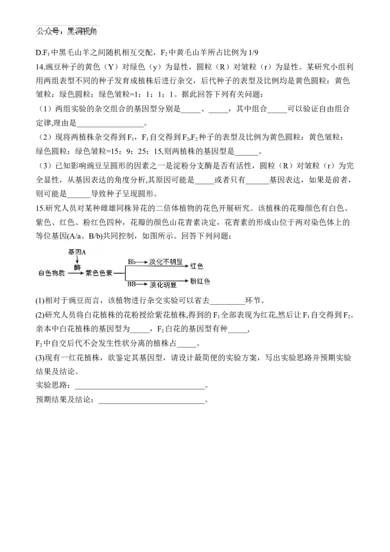 （11）基因的自由组合定律&mdash;&mdash;2025届高考生物二轮复习易错重难提升（含解析）_2024-2025高三（6-6月题库）_2025年02月试卷_02162025届高考生物二轮复习易错重难提升（含解析）