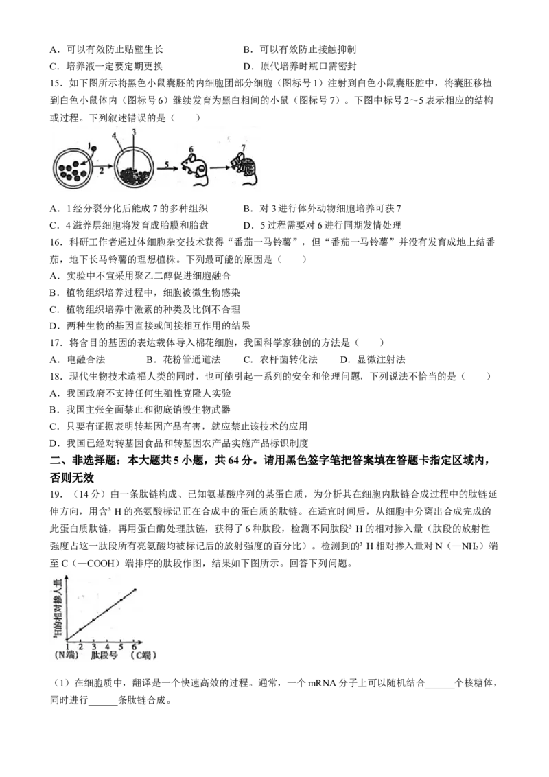 河南省开封市2023-2024学年高二下学期期末考试生物试题_2024-2025高三（6-6月题库）_2024年07月试卷_240713河南省开封市2023-2024学年第二学期高二期末调研考试