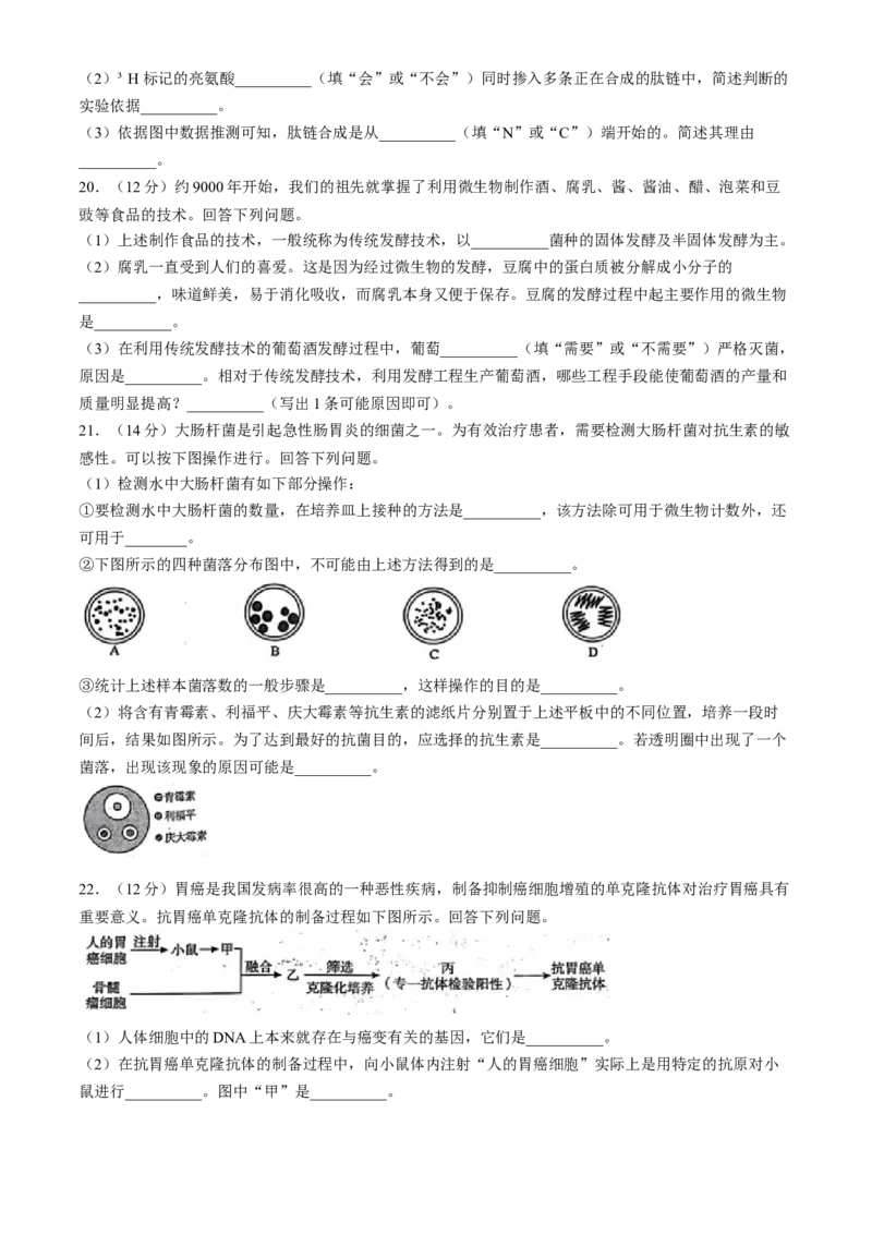河南省开封市2023-2024学年高二下学期期末考试生物试题_2024-2025高三（6-6月题库）_2024年07月试卷_240713河南省开封市2023-2024学年第二学期高二期末调研考试