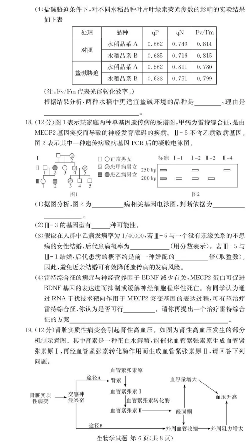 湖南佩佩教育战略合作学校2026届高三第二次联考卷生物_2024-2026高三（6-6月题库）_2026年01月高三试卷_0107湖南佩佩教育战略合作学校2026届高三第二次联考卷（全）