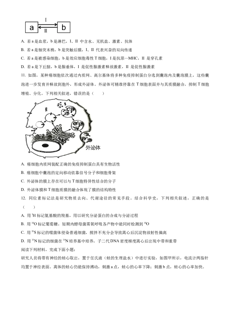 浙江省温州新力量联盟2025-2026学年高二上学期11月期中生物试题Word版无答案_251208浙江省温州市新力量联盟2025-2026学年高二上学期11月期中（全）