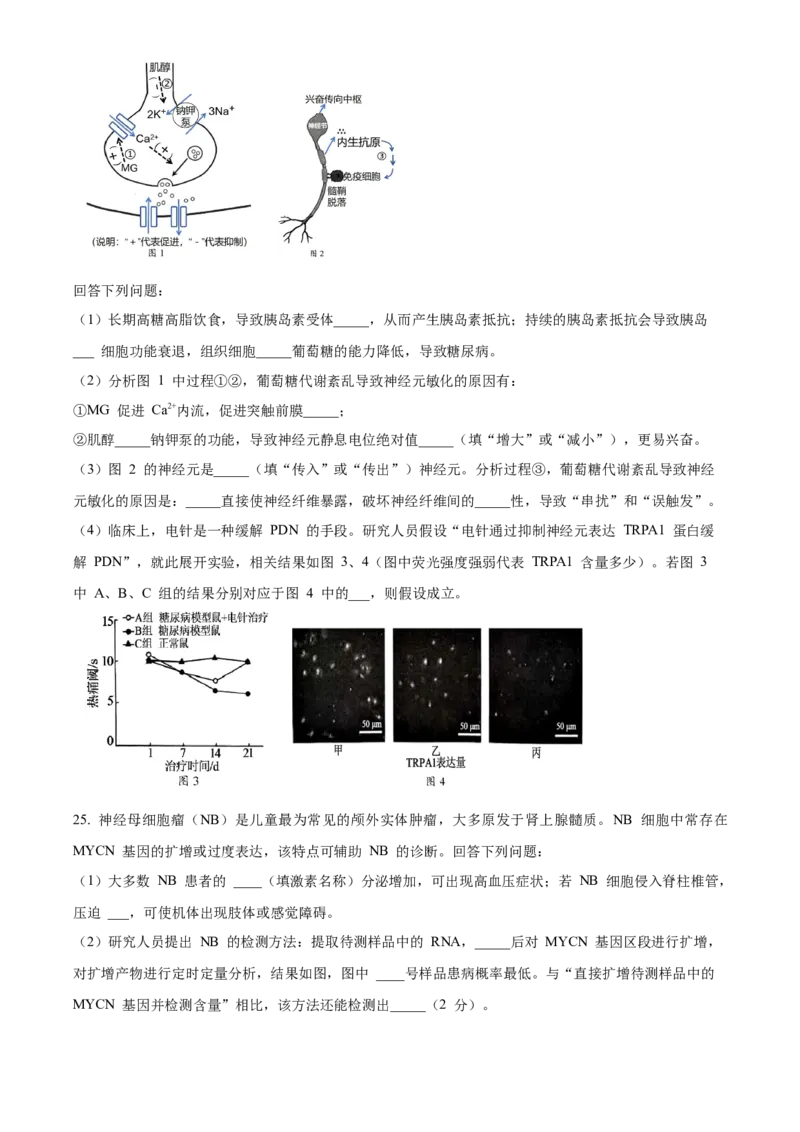 浙江省温州新力量联盟2025-2026学年高二上学期11月期中生物试题Word版无答案_251208浙江省温州市新力量联盟2025-2026学年高二上学期11月期中（全）