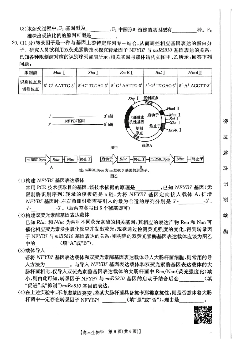 生物-重庆市好教育联盟2025届高三2月联考（金太阳331C）_2024-2025高三（6-6月题库）_2025年03月试卷_0310重庆市好教育联盟2025届高三2月联考（金太阳331C）