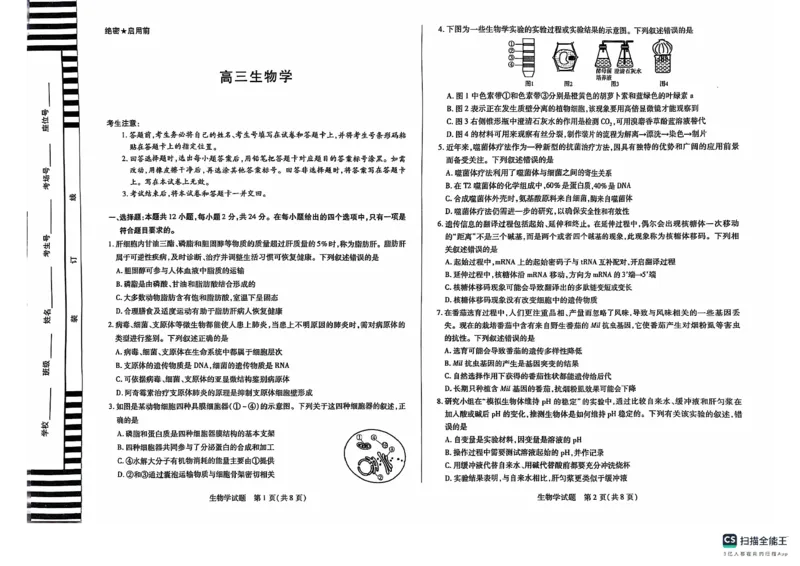 生物(1)_2024-2025高三（6-6月题库）_2024年11月试卷_1130湖南省天一大联考（湘一名校）2024-2025学年高三上学期11月联考_湖南省天一大联考2024-2025学年高三上学期11月联考生物
