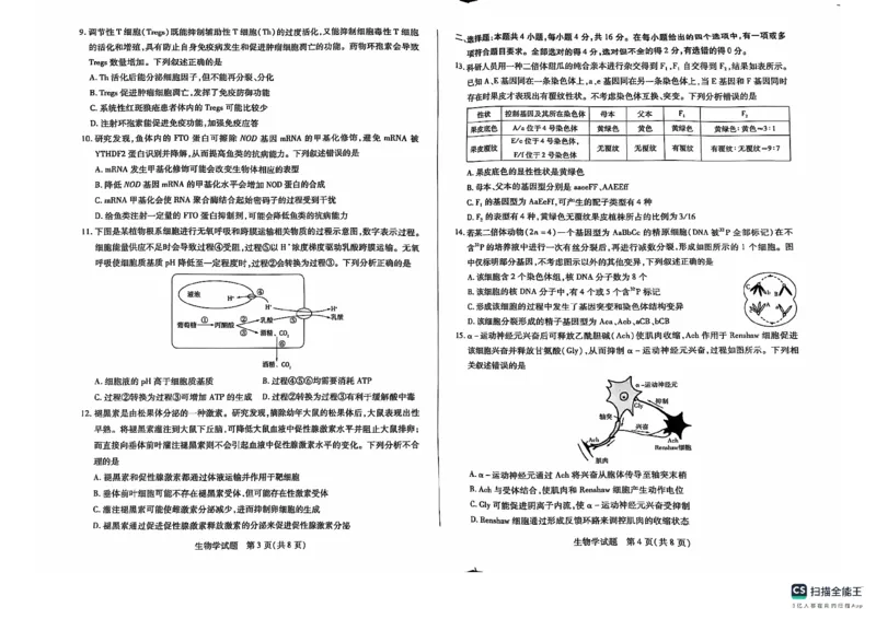 生物(1)_2024-2025高三（6-6月题库）_2024年11月试卷_1130湖南省天一大联考（湘一名校）2024-2025学年高三上学期11月联考_湖南省天一大联考2024-2025学年高三上学期11月联考生物