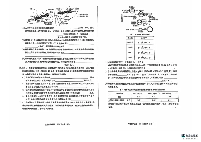 生物(1)_2024-2025高三（6-6月题库）_2024年11月试卷_1130湖南省天一大联考（湘一名校）2024-2025学年高三上学期11月联考_湖南省天一大联考2024-2025学年高三上学期11月联考生物