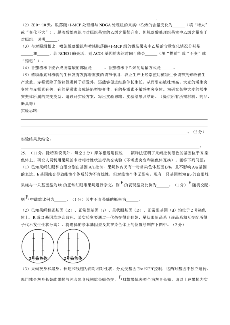 辽宁省大连市滨城高中联盟2024-2025学年高三上学期中考试生物试卷_2024-2025高三（6-6月题库）_2024年12月试卷_1206辽宁省大连市滨城高中联盟2024-2025学年高三上学期期中Ⅱ