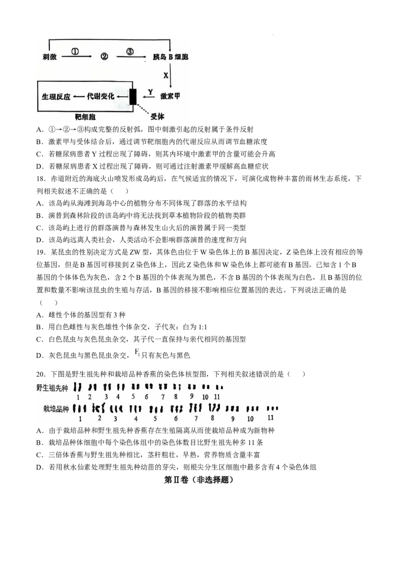 辽宁省大连市滨城高中联盟2024-2025学年高三上学期中考试生物试卷_2024-2025高三（6-6月题库）_2024年12月试卷_1206辽宁省大连市滨城高中联盟2024-2025学年高三上学期期中Ⅱ