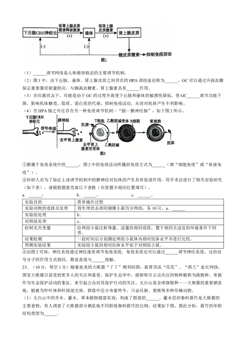 辽宁省大连市滨城高中联盟2024-2025学年高三上学期中考试生物试卷_2024-2025高三（6-6月题库）_2024年12月试卷_1206辽宁省大连市滨城高中联盟2024-2025学年高三上学期期中Ⅱ