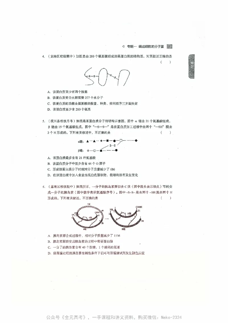 细胞物质&结构基础选择题汇编@_2024-2025高三（6-6月题库）_2024年09月试卷_万猛
