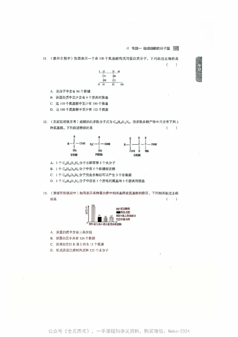 细胞物质&结构基础选择题汇编@_2024-2025高三（6-6月题库）_2024年09月试卷_万猛