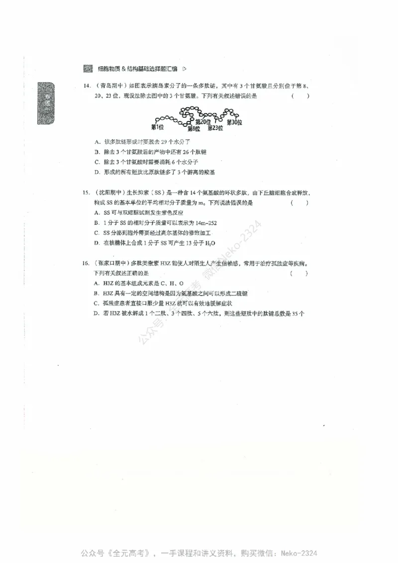 细胞物质&结构基础选择题汇编@_2024-2025高三（6-6月题库）_2024年09月试卷_万猛