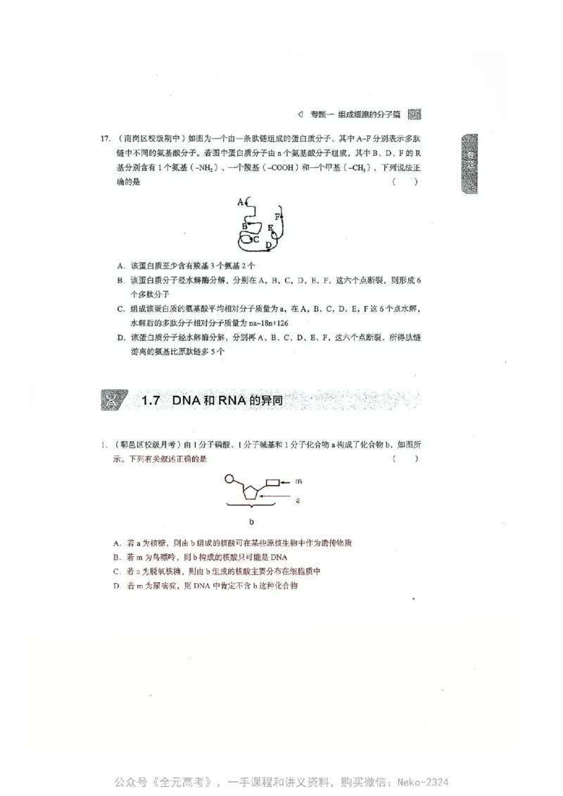 细胞物质&结构基础选择题汇编@_2024-2025高三（6-6月题库）_2024年09月试卷_万猛