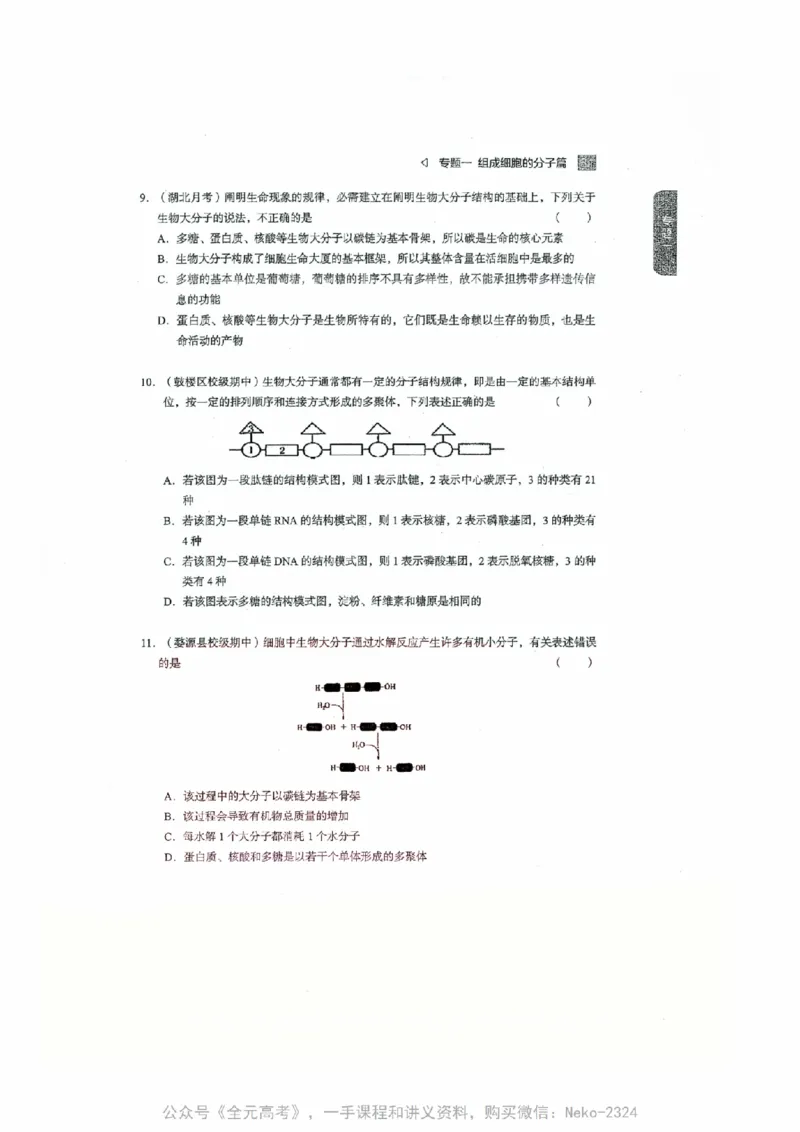 细胞物质&结构基础选择题汇编@_2024-2025高三（6-6月题库）_2024年09月试卷_万猛