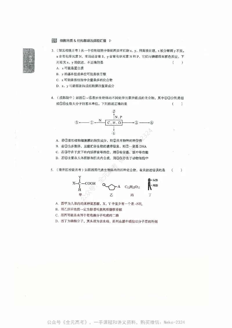 细胞物质&结构基础选择题汇编@_2024-2025高三（6-6月题库）_2024年09月试卷_万猛