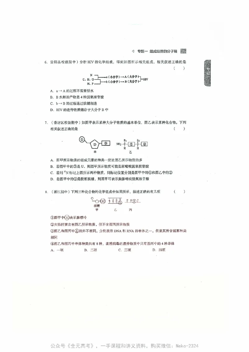 细胞物质&结构基础选择题汇编@_2024-2025高三（6-6月题库）_2024年09月试卷_万猛