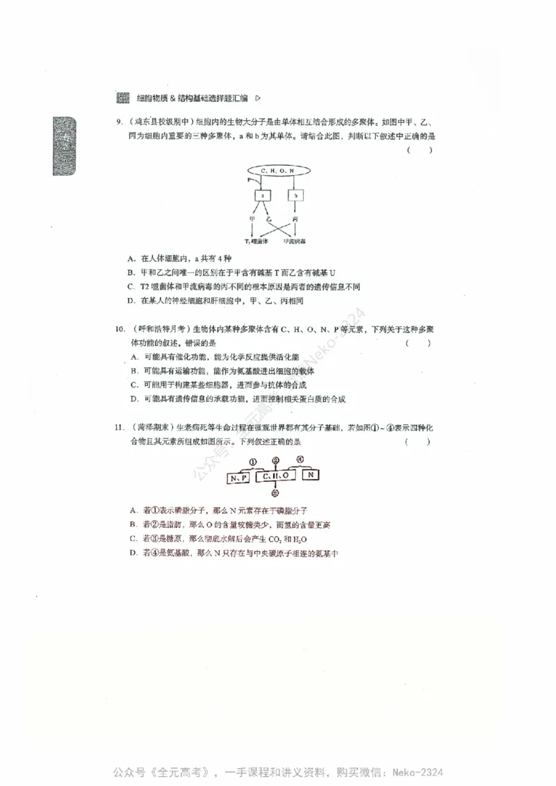 细胞物质&结构基础选择题汇编@_2024-2025高三（6-6月题库）_2024年09月试卷_万猛