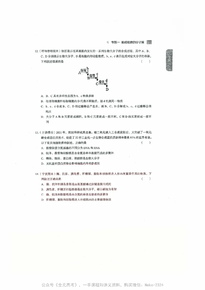 细胞物质&结构基础选择题汇编@_2024-2025高三（6-6月题库）_2024年09月试卷_万猛