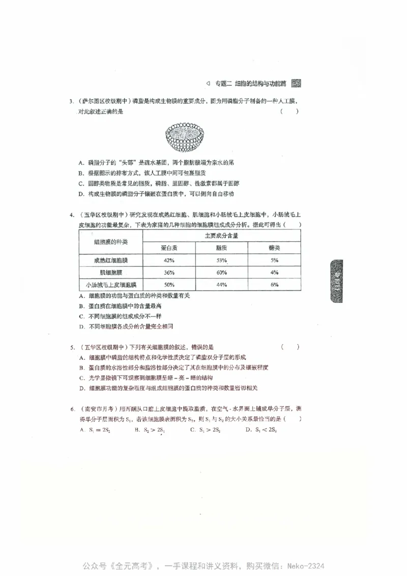 细胞物质&结构基础选择题汇编@_2024-2025高三（6-6月题库）_2024年09月试卷_万猛