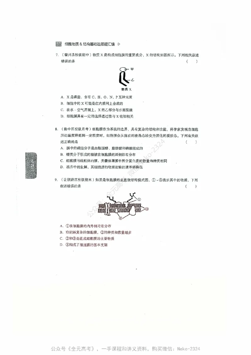 细胞物质&结构基础选择题汇编@_2024-2025高三（6-6月题库）_2024年09月试卷_万猛