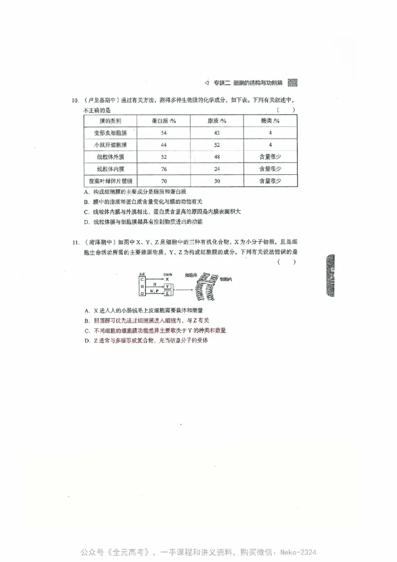 细胞物质&结构基础选择题汇编@_2024-2025高三（6-6月题库）_2024年09月试卷_万猛
