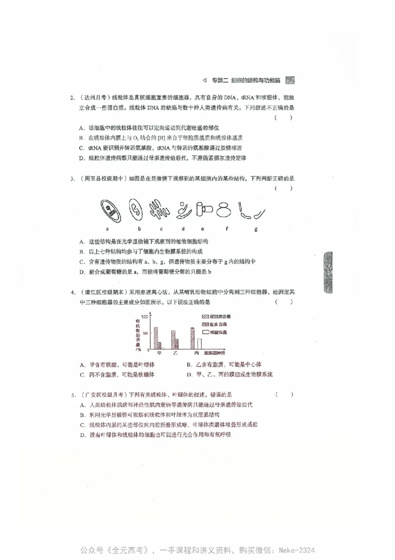细胞物质&结构基础选择题汇编@_2024-2025高三（6-6月题库）_2024年09月试卷_万猛