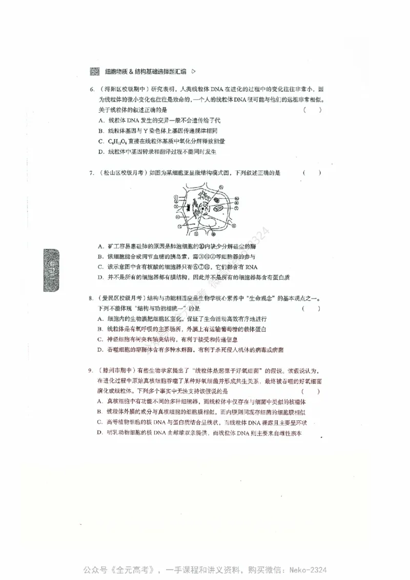 细胞物质&结构基础选择题汇编@_2024-2025高三（6-6月题库）_2024年09月试卷_万猛