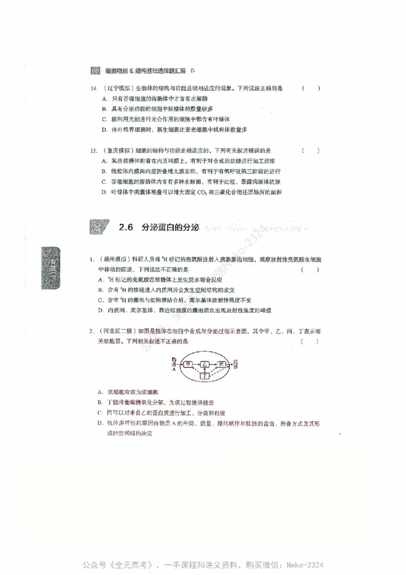 细胞物质&结构基础选择题汇编@_2024-2025高三（6-6月题库）_2024年09月试卷_万猛